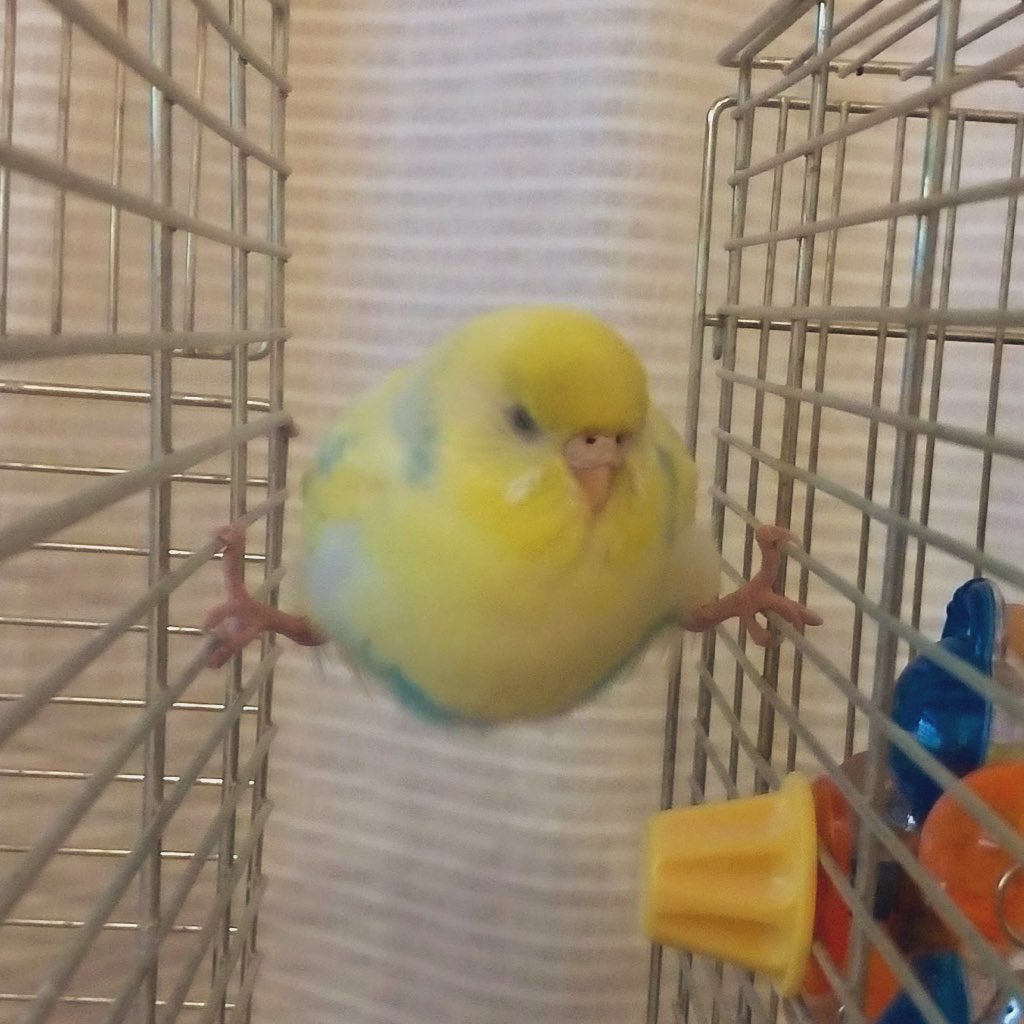 hantamago_go_'s tweet image. #何度だっていいあなたの最高傑作見せて