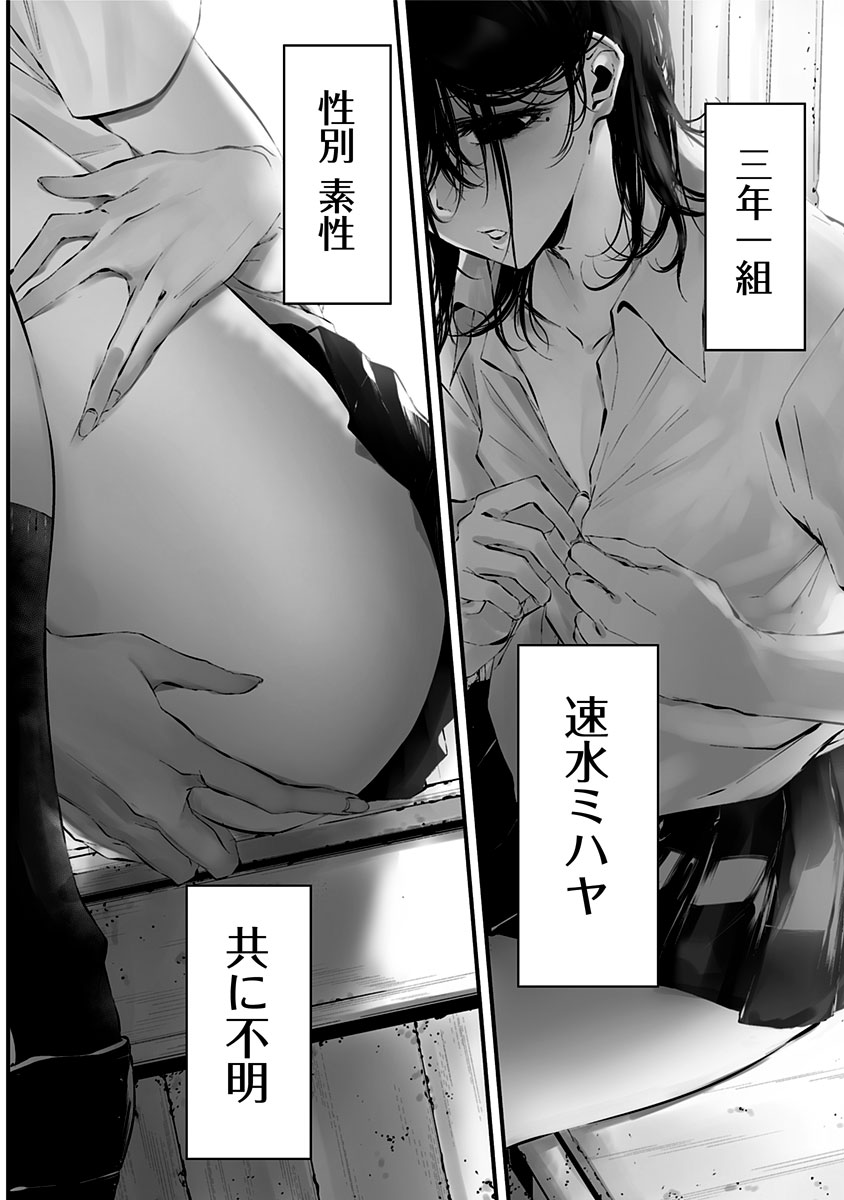 (3/6) 
