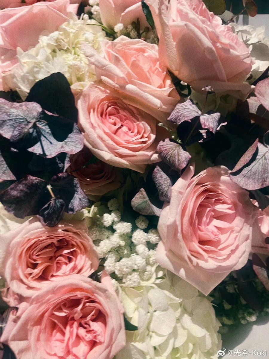 Kokikimurahk1's tweet image. Report from #koki 
Arrived !!! 
#webio #微博