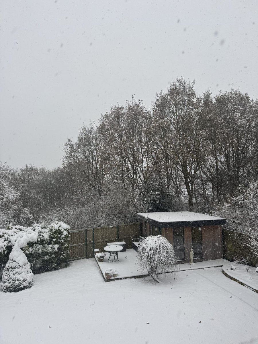 Dr Marie Gressmann tweet media