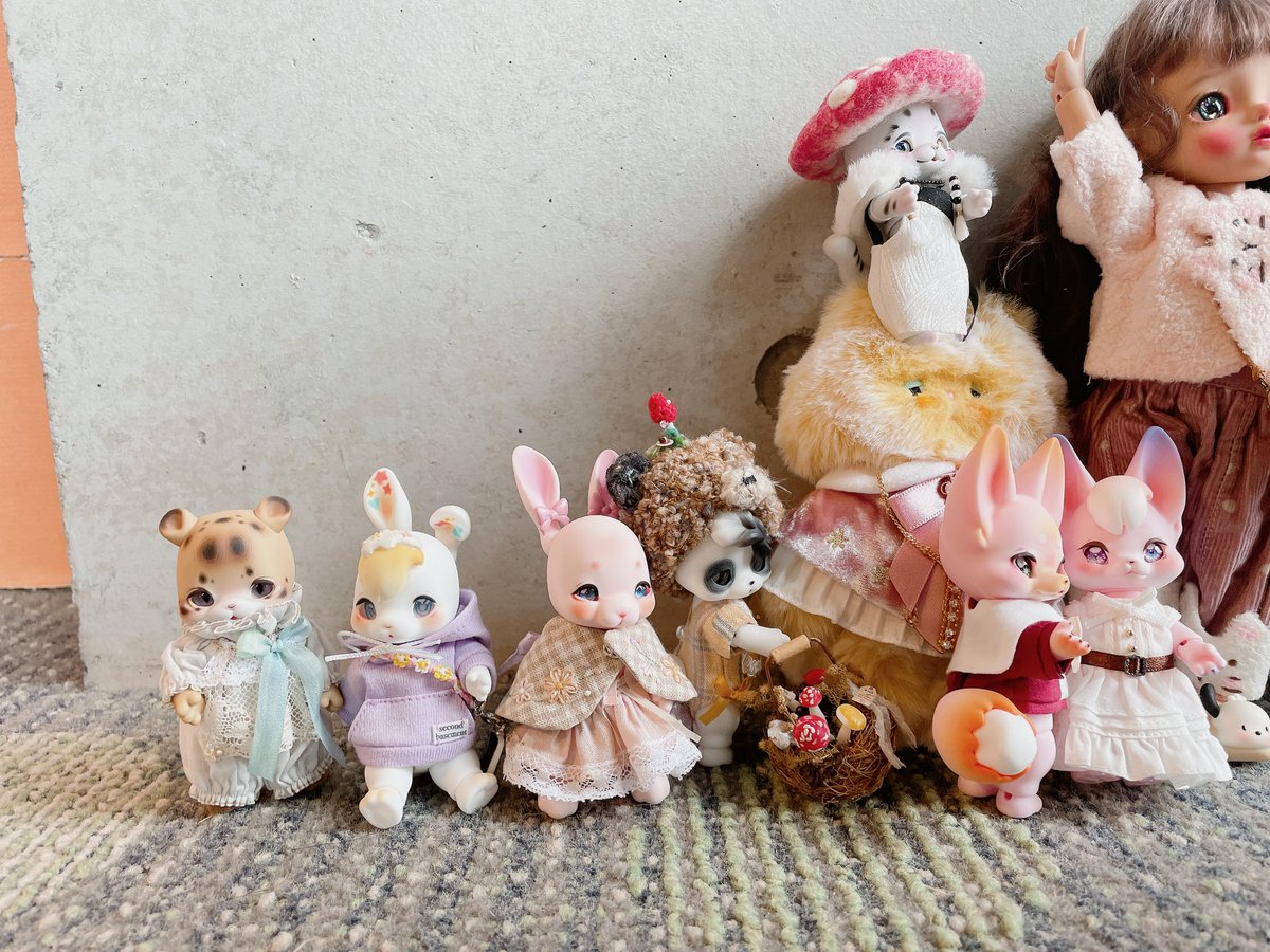 shinai1412's tweet photo. 今日のホフマンイベント凄く凄く楽しかった♪♪ 久しぶりに会ったみんなの子たちが可愛すぎます(꜆꜄  ᵕ  ᵕ̩̩ )꜆꜄꜆♡♡♡

#kumukuku #cocoriang #demit #chicabi https://t.co/WuVj6KMkiw