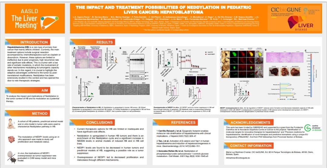 MaluMChantar (@chantar_m) on Twitter photo Extremely proud of <a href="/EstefaniaZP/">Leidy Estefanía Zapa</a>. Póster distinction 🥇in the #AASLD2024 @ AASLDTweets in San Diego. Working in #hepatoblastoma and new #therapies #neddylation 🌟🌟 Extremely proud of <a href="/EstefaniaZP/">Leidy Estefanía Zapa</a>. Póster distinction 🥇in the #AASLD2024 @ AASLDTweets in San Diego. Working in #hepatoblastoma and new #therapies #neddylation 🌟🌟