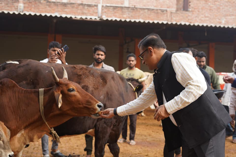 NagarVikas_UP's tweet image. प्रमुख सचिव, नगर विकास विभाग, उत्तर प्रदेश द्वारा लखनऊ स्थित कान्हा गौशाला और एनिमल बर्थ कंट्रोल (ABC) सेंटर का निरीक्षण किया गया।
#kanhagaushala #animalbirthcontrol #cowprotection #strayanimalwelfare #animalwelfare #abcprograms #uttarpradeshdevelopment #municipalcorporation…