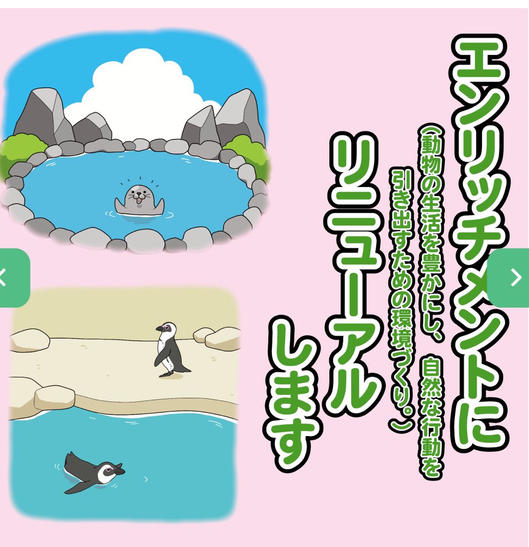 HEIWA417's tweet photo. #ノースサファリサッポロ
署名活動される方に警告⚠️
ノースサファリサッポロは動物や御客様の為に改善を発表しています。
あなた方署名者は何を目的に署名されるのでしょうか？廃業ですか？動物を処分したいのですか？◉お願いです🤲動物たちの生き場所を奪わないであげてください。 https://t.co/ocwozqHgpW