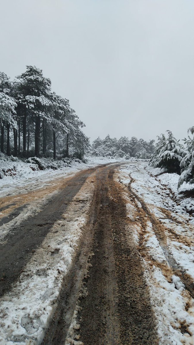 An itibarıyla İstanbul Aydos Tepesi ❄️⛄❄️

#İstanbul #karyağışı #Meteoroloji #kar