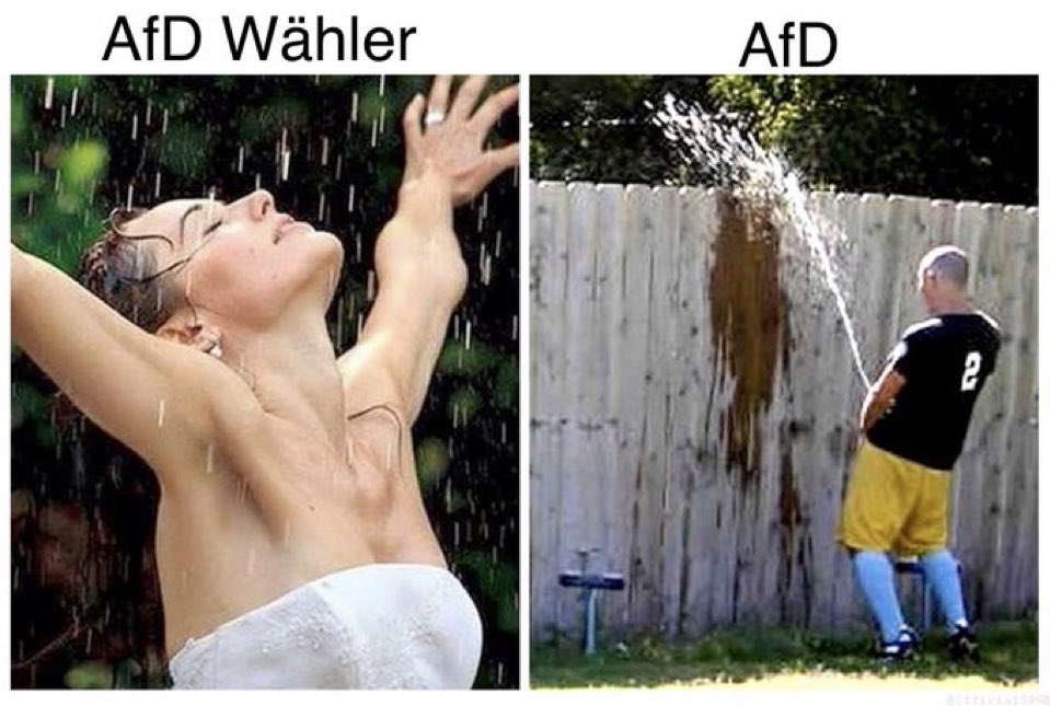 fernossi1's tweet photo. Zum AfD Parteitag hol ich doch gerne nochmal meinen erfolgreichsten Post aller Zeiten raus 👇 https://t.co/UxtuZCaGSQ
