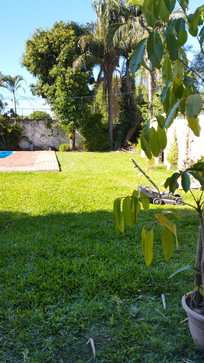 Sábado se trabaja en jardín 💐