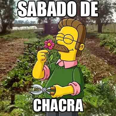 {vismund}vega (@vismundvega) on Twitter photo 