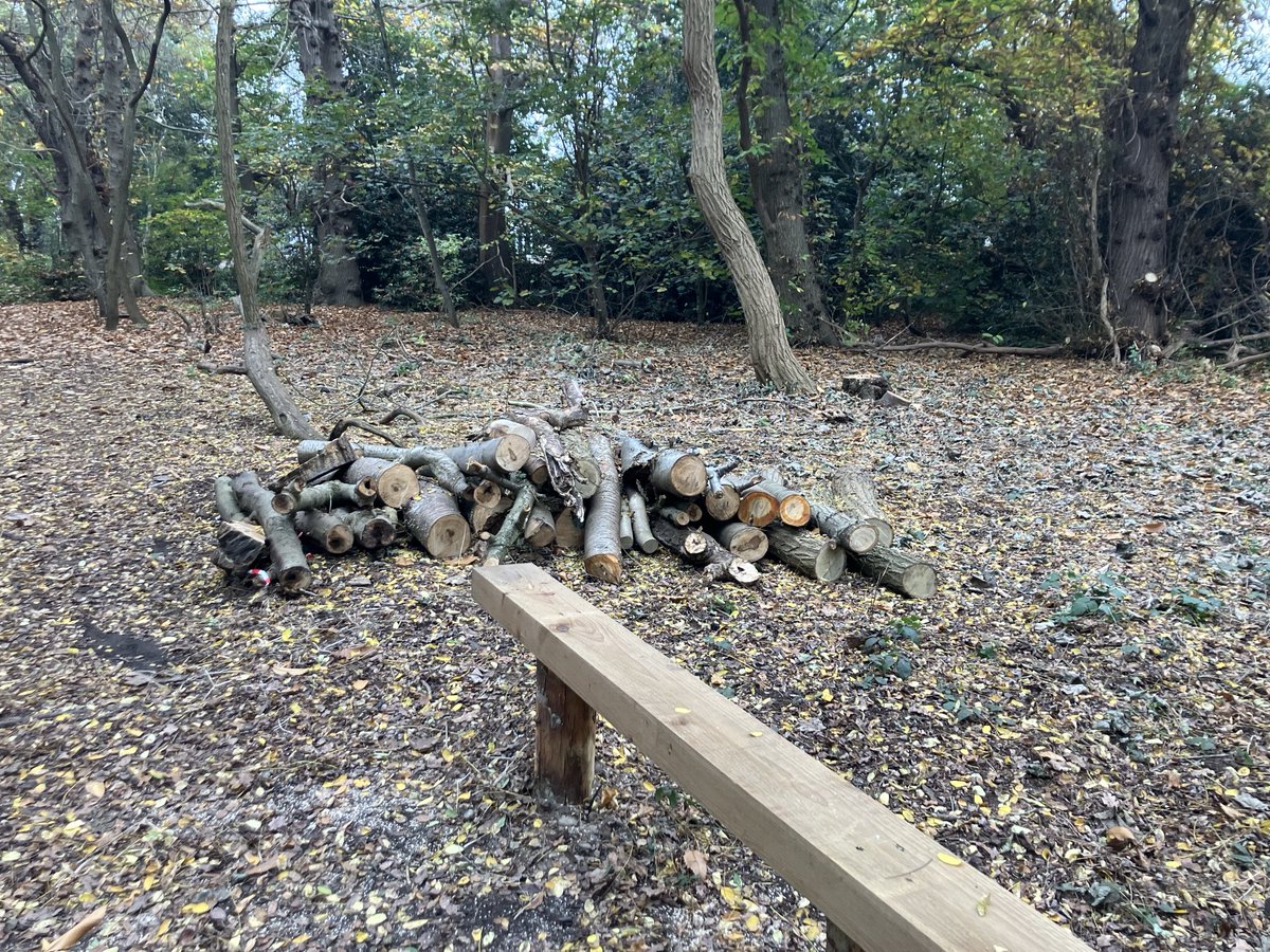 High Broom Wood (@high_broom) on Twitter photo Thank you <a href="/idverde_Bromley/">Bromley Parks</a> for all the work you did recently in High Broom wood. We appreciate the felling & chopping 🪵. Thanks also for your imaginative repositioning of the owl bench 🦉! Great job 👏 <a href="/NatureLark/">Moira O'Donnell 🏴</a> <a href="/sezel77/">Sergey Zelenov 🇺🇦 Ї</a> <a href="/KateSLangford/">Kate Langford</a> Thank you <a href="/idverde_Bromley/">Bromley Parks</a> for all the work you did recently in High Broom wood. We appreciate the felling & chopping 🪵. Thanks also for your imaginative repositioning of the owl bench 🦉! Great job 👏 <a href="/NatureLark/">Moira O'Donnell 🏴</a> <a href="/sezel77/">Sergey Zelenov 🇺🇦 Ї</a> <a href="/KateSLangford/">Kate Langford</a>