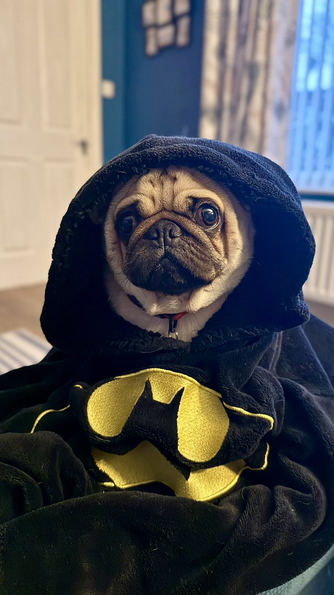 𝙎𝙩𝙚𝙫𝙚 tweet media