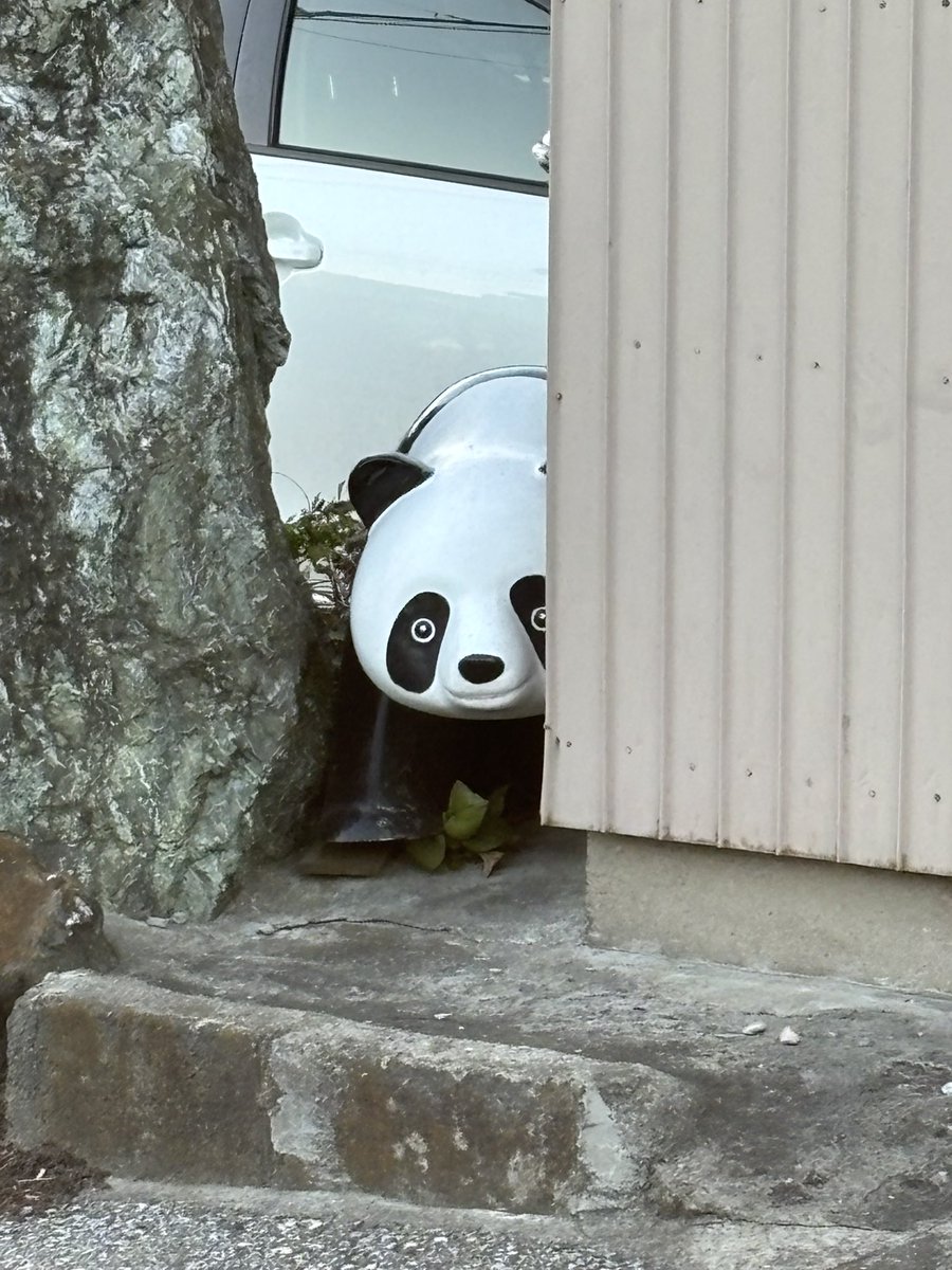 get_bass's tweet photo. 豊四季　諏訪道渋滞中に、ふっとよそ見したら、パンダ🐼と目があったので、
パチリ📷 https://t.co/lnATNsqk7o