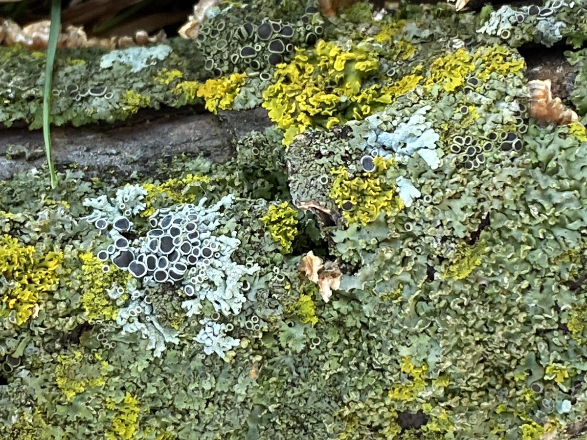 Happy #HotStickSaturday y’all!