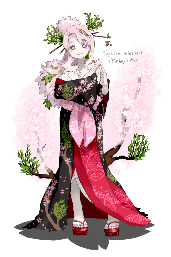 「Taphrina wiesneri (サクラ天狗巣病菌)ドラマ「らんまん」で知名」|oso 的キノコ擬人化図鑑のイラスト