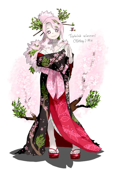Taphrina wiesneri (サクラ天狗巣病菌)ドラマ「らんまん」で知名度が超上がったサクラ類の病害菌。枝が異常分岐した部位を作り出します。フョロワーさんが見付けてたのが嬉しかったです。個人的には「日本人が一番目にしている植物病害」だと思ってます。 