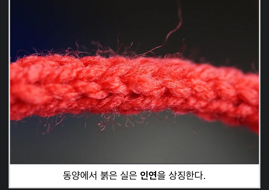 숩닝 아카이브 tweet media