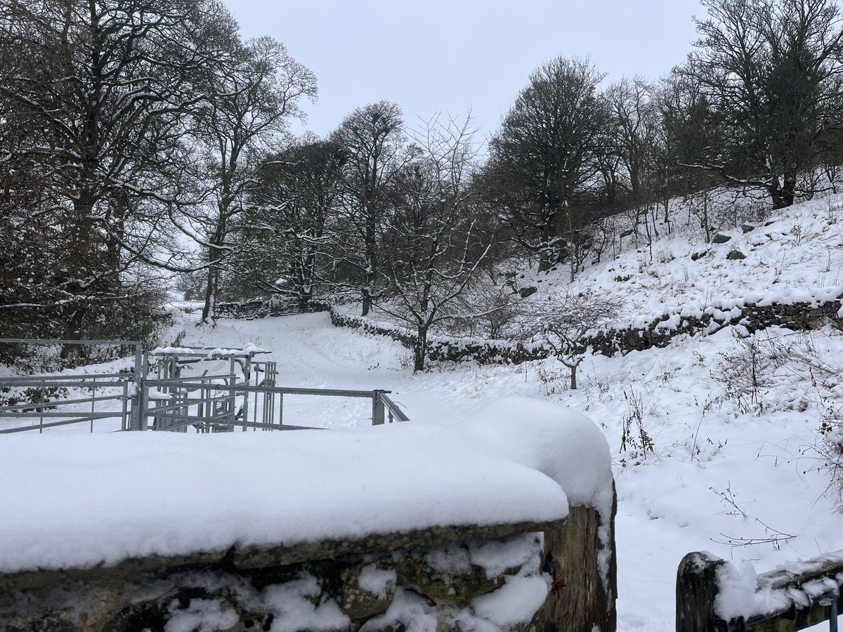 VictoriaRogers tweet media