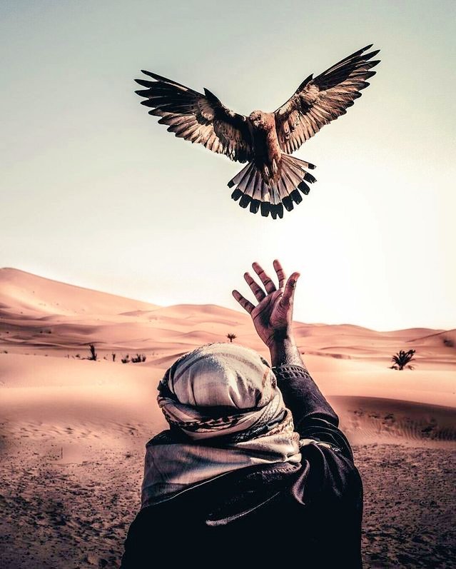 シ عبث tweet media