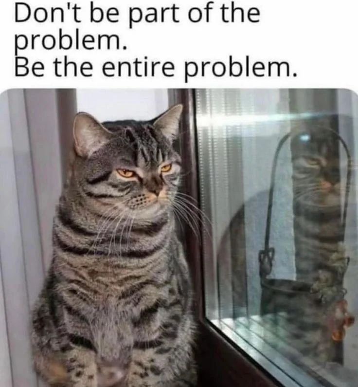 WholesomeMemes tweet media