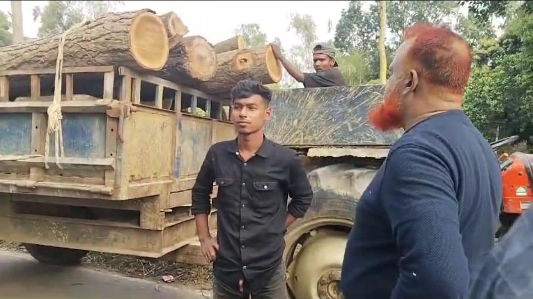কালিয়াকৈরে গজারী গাছসহ ট্রাক্টর আটক