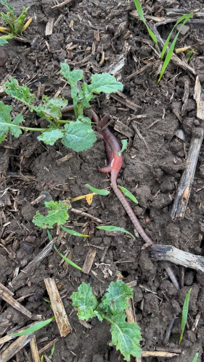 Stefan Be tweet media