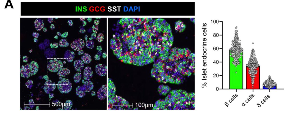 Daniel J Drucker tweet media
