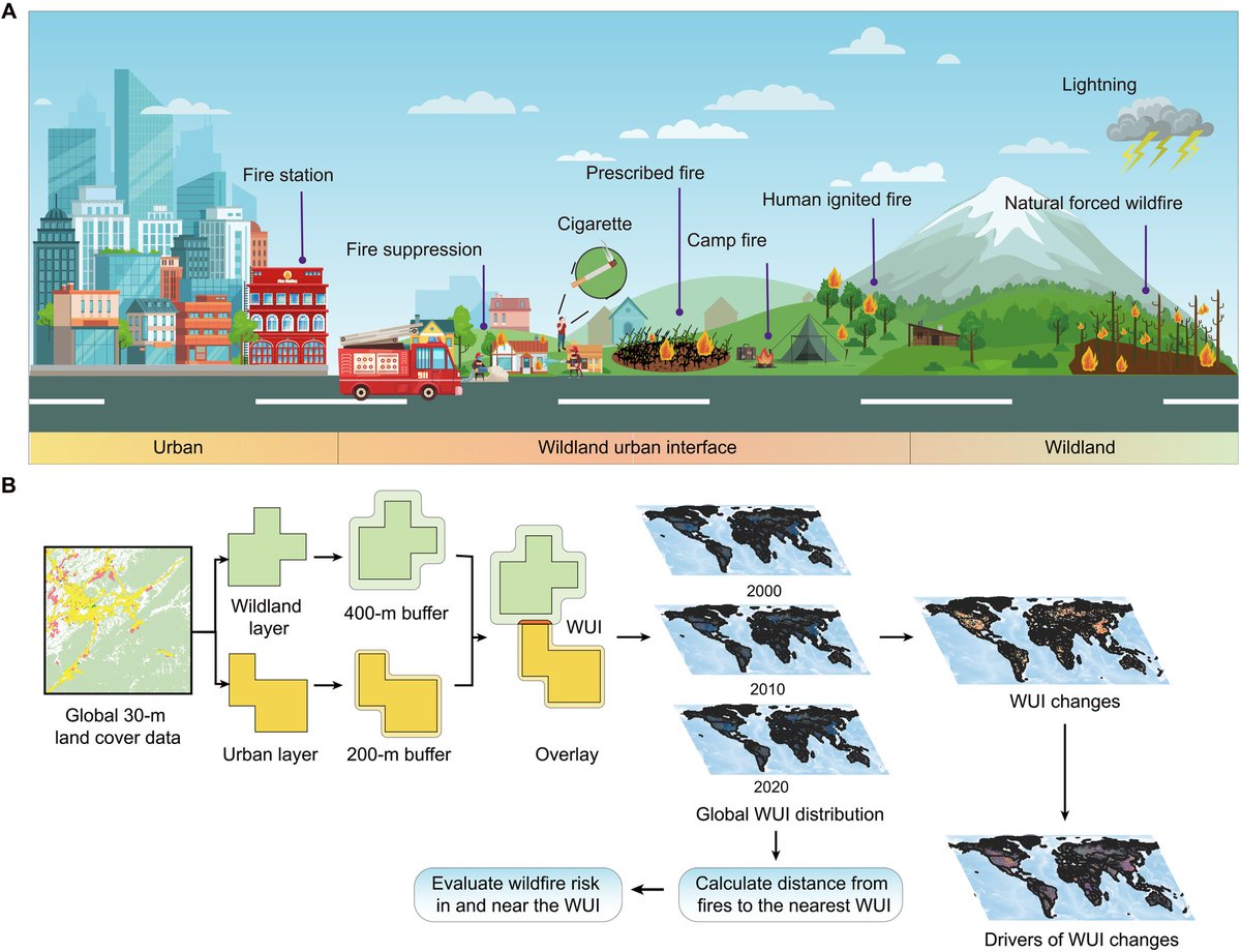 The global frontier where humans and nature meet—called the wildland-urban interface—expanded 35.6% from 2000 to 2020, new <a href="/ScienceAdvances/">Science Advances</a> research finds. bit.ly/40BwmqP