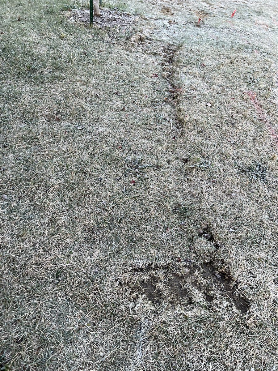 Justean Allen tweet media