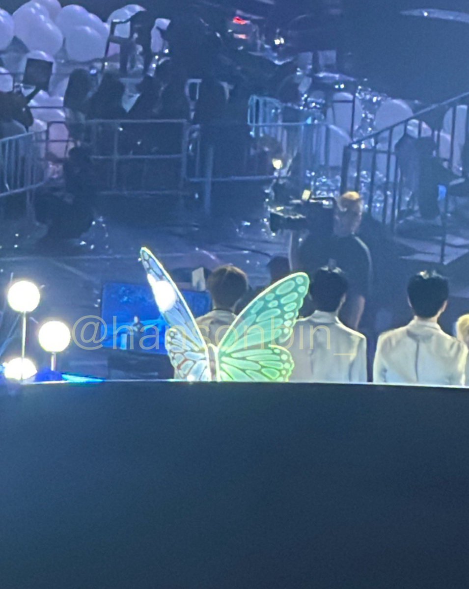 aww butterfly wings appeared from gyuvin’s back