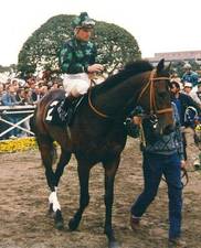 HORSERACING1002's tweet photo. PRIZED🇺🇸1986
(KRIS S - MY TURBULENT MISS BY MY DAD GEORGE)
#Prized
B/ Meadowbrook Farm (Fl) May 20, 1986.
O/ Clover Racing, Meadowbrook Farm
T/ Neil D. Drysdale
OBSFEB $24,000 RNA
17-9-2-3----2,262,555
Breeder's Cup Turf G1, Molson Export Million S, Swaps S G2, San Luis Rey S G1, Arcadia H G3, Bradbury S.
3rd Hollywood Turf H G1, Silver Screen H G2, Tropical Park Derby G2.
Stood Cardiff Farm, Dixiana Farm, Spendtrifth farm🇺🇸, Australia 🇦🇺, New Zealand 🇳🇿, O'Sullivan Farm🇺🇸, pensioned at Old Friends, Kentucky.
Sired 812 foals, 448 winners, 36 sw.
Sired Brass Hat, Prize Lady, Fade to Blue, Oysters, Pisces,
Died July 13, 2014.