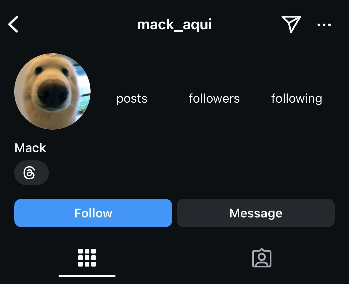 mack_aqui's tweet photo. A conta do doguinho foi desativada no IG sem motivo algum :(

Vou focar em produzir mais conteúdo aqui.

Estão querendo me derrubar apenas porque sou contra a maioria do mercado vendedora de curso!!

COMENTA AQUI QUANTO VOCÊ JÁ GANHOU COM O DOGÃO? https://t.co/Z4owEPw5W8