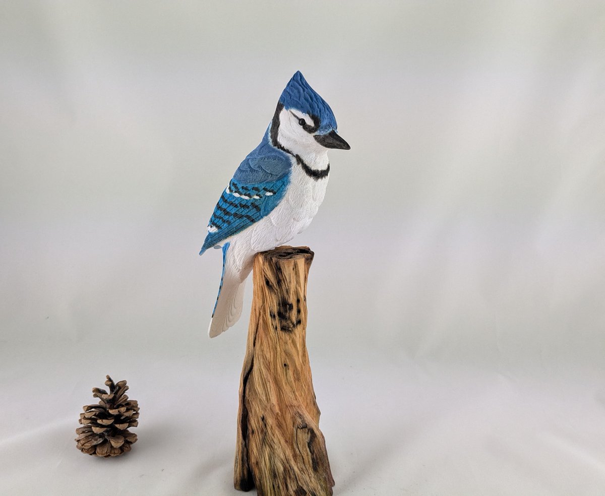 StPirovski's tweet photo. hand carved bird- Blue jay
https://t.co/3Ad1tsJhxW https://t.co/HKrhk5e2x7