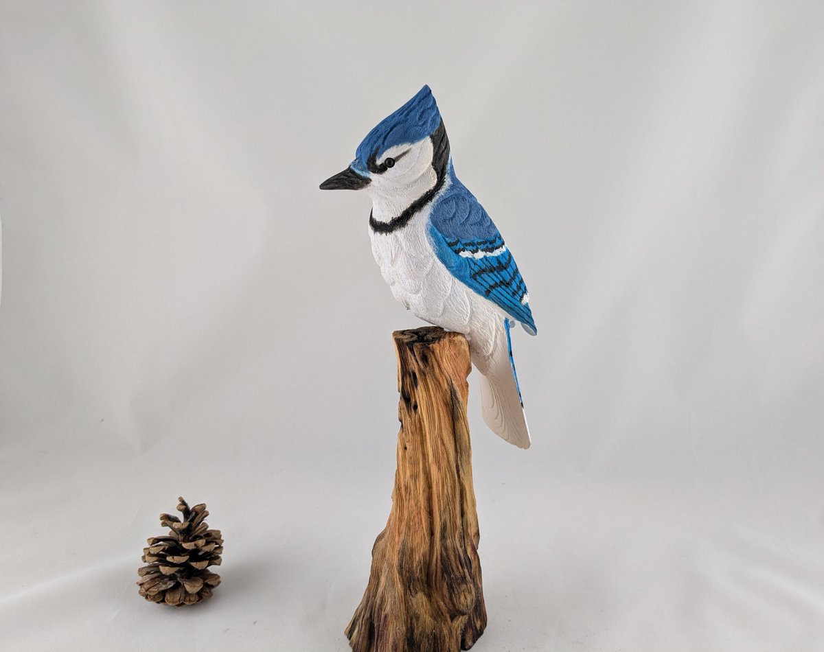 StPirovski's tweet photo. hand carved bird- Blue jay
https://t.co/3Ad1tsJhxW https://t.co/HKrhk5e2x7