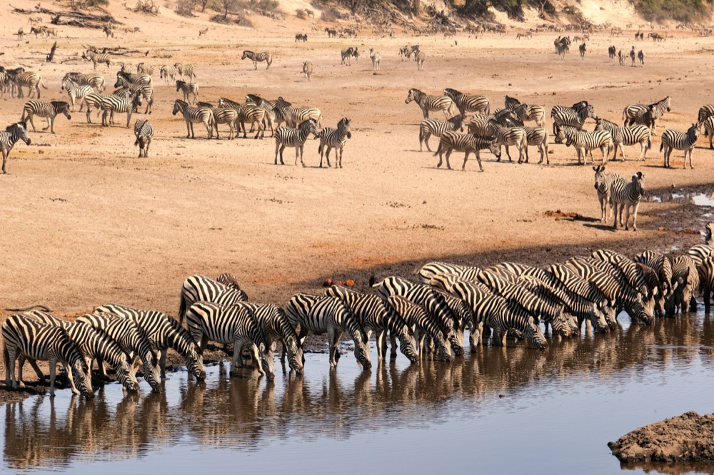 Yves de Contades tweet media