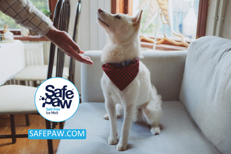 GaiaEnterprises's tweet image. Read heartwarming stories of pets who went above and beyond to save their owners in times of need: safepaw.com/heartwarming-s… #HeroPets #PetStories #Heartwarming