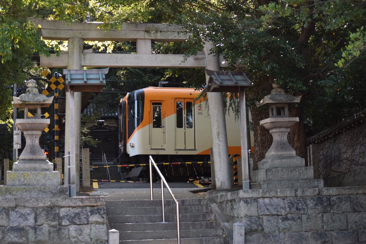 sutopote's tweet photo. 2024年11月23日(土・祝)
16000系ありがとう!Y07ツアー
①臨7021レ 藤井寺〜土師の里
②臨120レ 吉野神宮〜大和上市
③臨7724レ 吉野
④回7881レ 阿部野橋
往路は撮影、復路はシンプルプランで参加しました!
Y07お疲れ様でした👋
#近鉄 #16000系 #Y07 https://t.co/4NJmYXK1mm