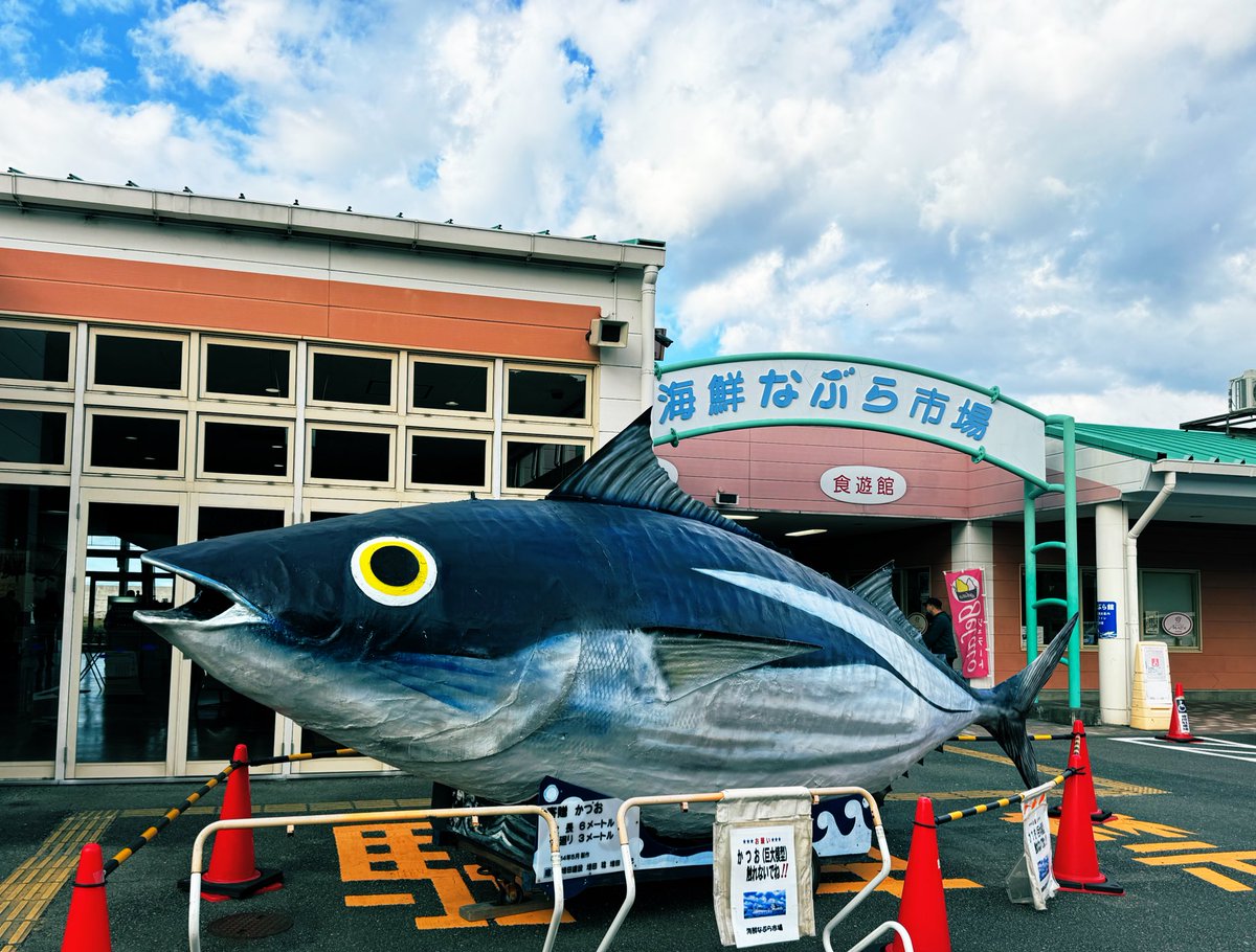 manamiii_design's tweet image. 今日は御前崎市までドライブに行ってきました〜！

マリンパーク御前崎でながーい滑り台を
滑った後、海鮮なぶら市場へ🐟

焼津さかなセンターに比べると小ぶりでしたが
買ったマグロが安くて甘くて
もうスーパーで買えないレベルで美味でした…🥺🫶🏻

一日外出すると平日より
断然に疲れるっっ！！笑…