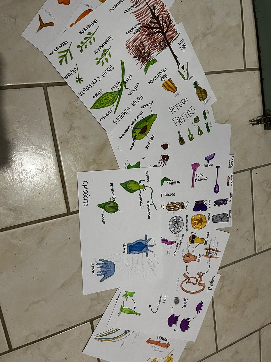 ellenlenhartt's tweet photo. Depois dessa, ano que vem é sério, eu vou parar de resenhar nas aulas https://t.co/DbeYgWlAqF