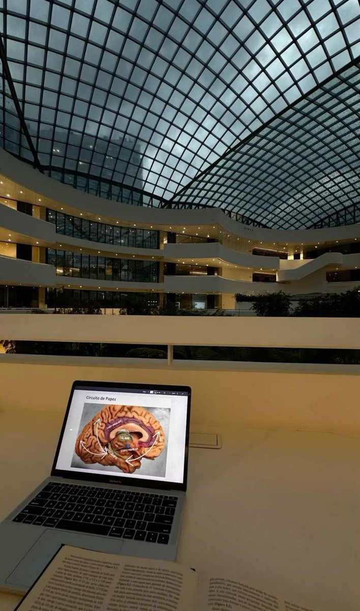 LilysCurie's tweet image. Faculdade Albert Einstein e seus encantos...💭