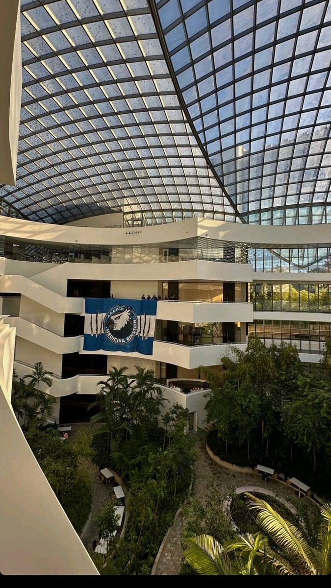 LilysCurie's tweet image. Faculdade Albert Einstein e seus encantos...💭