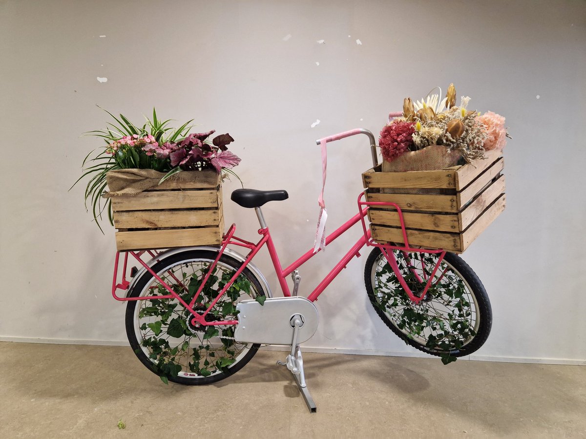 JeremyRichard54's tweet photo. Très belle cérémonie de remise des prix des balcons et jardins de la ville de #Vandoeuvre, placée cette année sous le thème du rose.

Je vous laisse découvrir quelques photos ... 😁 https://t.co/dm9TssVtlE