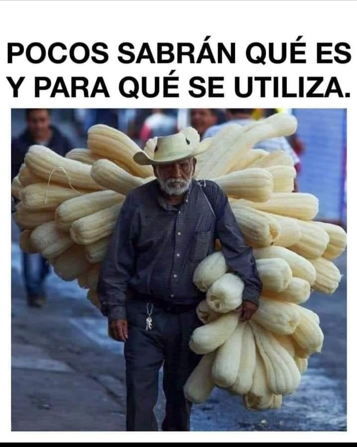 AndresGuzBJ's tweet photo. En tu país, como se les llama? https://t.co/rQf9aSe7D5