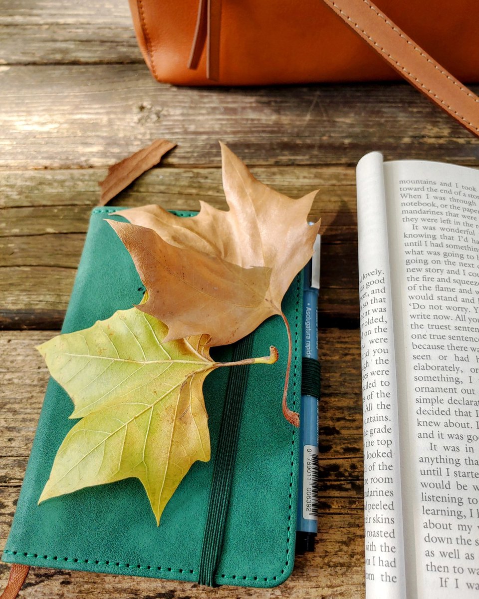 Whether you’re going from autumn to winter or spring to summer, I hope you take a moment to appreciate the smells, tastes, and sounds of the changing seasons in your part of the world.

Enjoy the season.

Read more in my full post at rochelledb.substack

open.substack.com/pub/rochelledb…