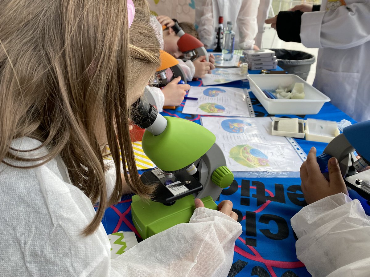 Ciencia Singular tweet media