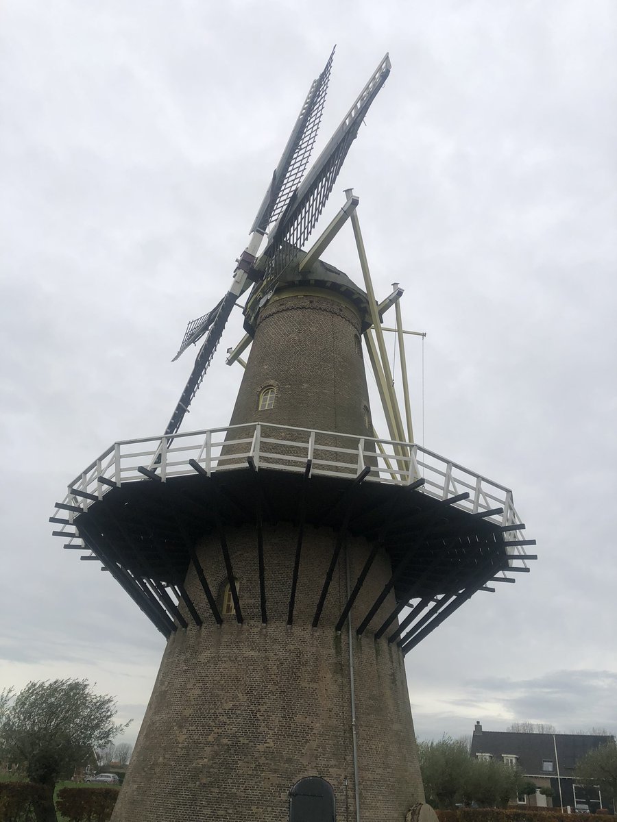 Onze eigen Nedertarwe gemalen bij <a href="/de5gebroeders/">Bas Quist</a>. Volkoren meel en bloem. <a href="/FarmPlusNL/">FarmPlus</a> #koopmans