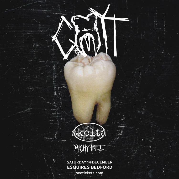 Michy Tree tweet media