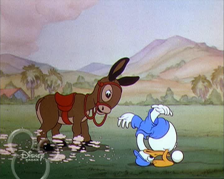 snoopy73denotrecinema tweet media