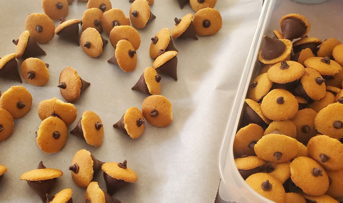 1WitchyChick's tweet photo. They're cute and they look like acorns, but they also look like nipples. Can't tell if this is a #pinterestwin or a #pinterestfail https://t.co/RB8aajkP6v