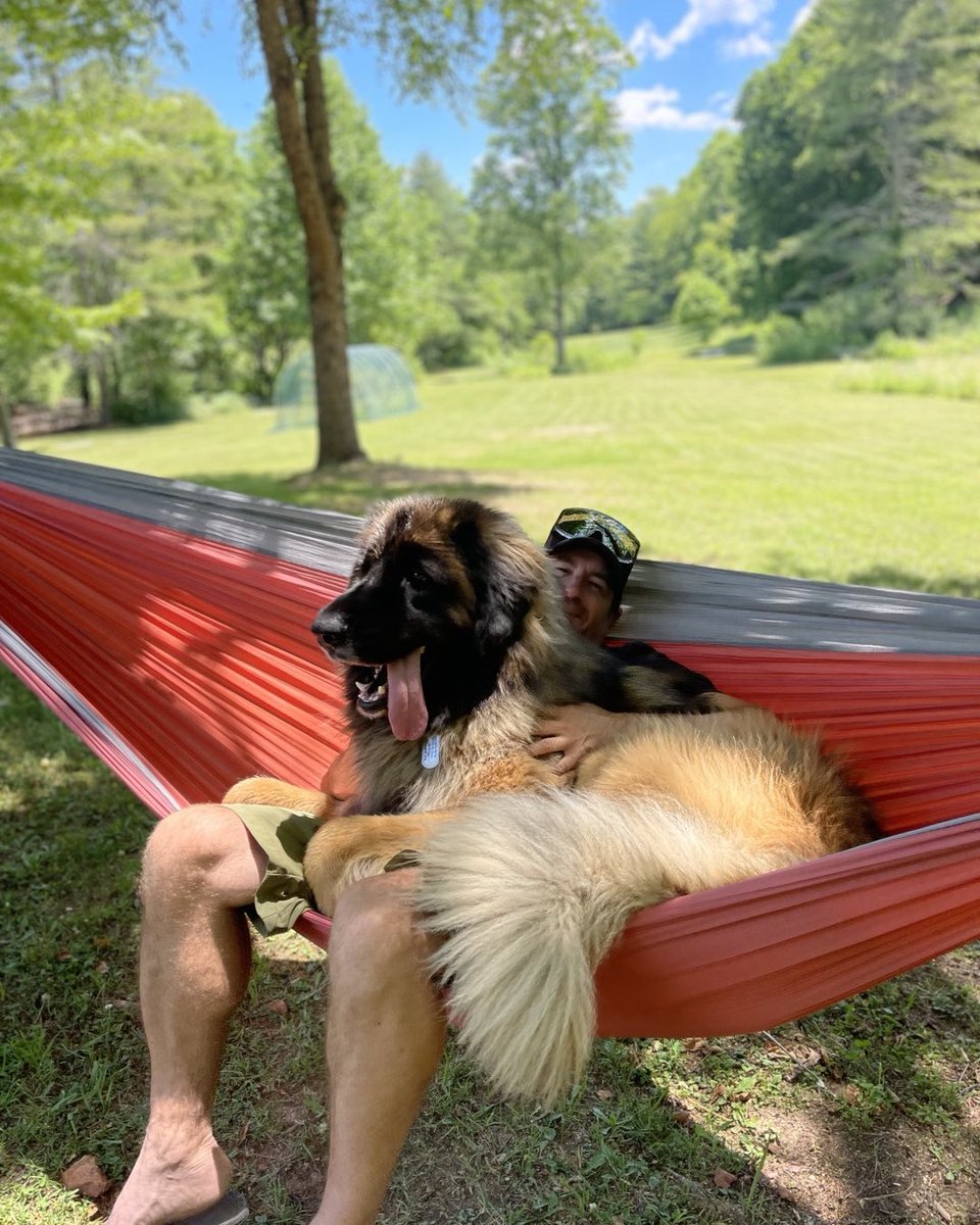 ENOHammocks's tweet photo. Invest in the best to hold your precious cargo. https://t.co/Q7vaVyZ7kM