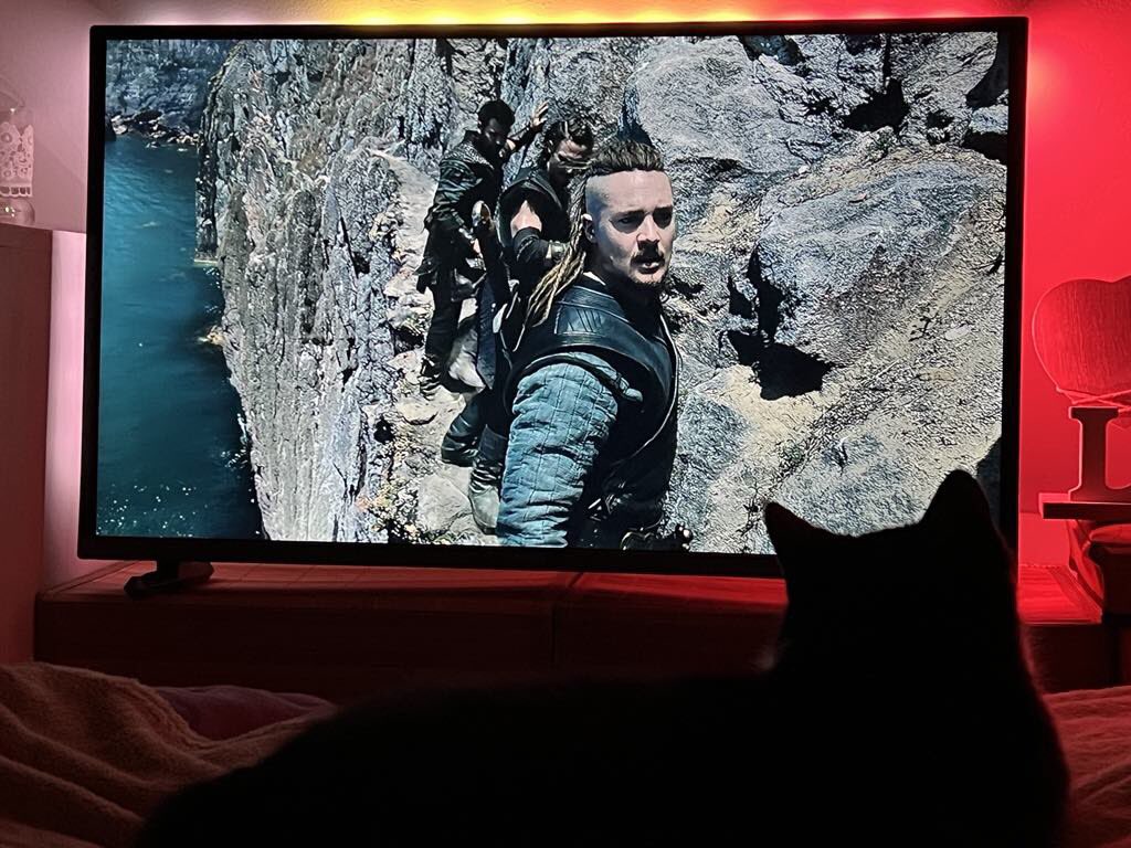 Watching Last Kingdom this #Caturday . What do you kittens &amp; hoomans watch? 🐾😻🐾 - signed Kenza