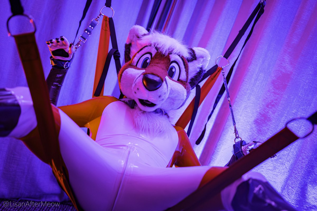 Tifou ๐ AWOO, FBL13 (@tifoufox) on Twitter photo Oh, hmm, hello... it's not what you think! Give me a few minutes to explain this situation...
#SqueakySaturday
<a href="/LisanAfterMeow/">LisanAfterMeow ๐ AWOOSTRIA</a> Oh, hmm, hello... it's not what you think! Give me a few minutes to explain this situation...
#SqueakySaturday
<a href="/LisanAfterMeow/">LisanAfterMeow ๐ AWOOSTRIA</a>